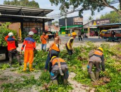 Mitigasi Risiko Bencana, BPBD Sumedang Pangkas Dahan Pohon Membahayakan