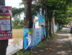 Banyak APK Dipaku di Pohon, Begini Sikap Satpol PP dan Bawaslu Sumedang
