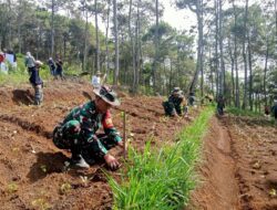 Lahan Kritis di Cipacet Sumedang Dihijaukan