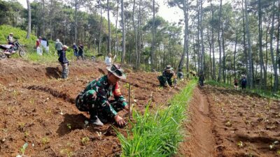 Lahan Kritis di Cipacet Sumedang Dihijaukan