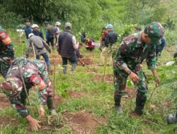 Antisipasi Lahan Kritis, Koramil Tanjungsari, Tanam Pohon di Gunung Manglayang