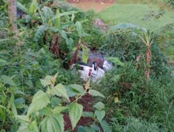 Mobil Siaga Desa Sukajadi Sumedang Terjun ke Jurang Sedalam 15 Meter