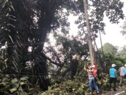 PLN Gerak Cepat Amankan Tiang Tumbang di Cadas Pangeran Sumedang