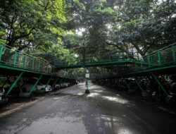 Cegah Jadi Lokasi Prostitusi, Area Forest Track Babakan Siliwangi Akan Ditata