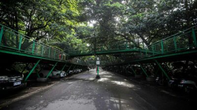 Cegah Jadi Lokasi Prostitusi, Area Forest Track Babakan Siliwangi Akan Ditata