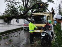Dihantam Hujan Deras Disertai Angin Kencang, Pohon di Dayeuhkolot Tumbang Timpa Truk