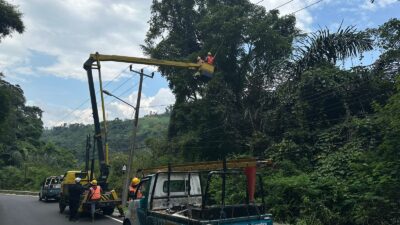 Hadapi Arus Mudik Lebaran, PLN UP3 Sumedang Turut Serta Bersihkan Pohon di Cadas Pangeran