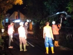 Pohon Tumbang Timpa Kabel Listrik di Ragadiem Sumedang
