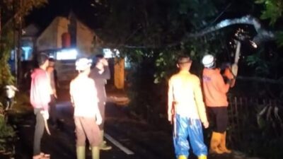 Pohon Tumbang Timpa Kabel Listrik di Ragadiem Sumedang