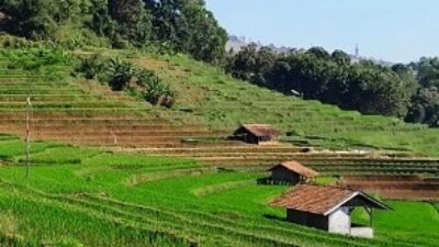 Mengungkap Potensi Pertanian Sumedang: Sorotan atas Kekayaan Indonesia