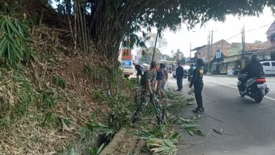 Antisipasi Tumbang, Pohon Bambu di Jalan Raya Tanjungsari Sumedang Ditebang