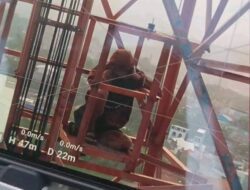 Diduga Stress, Seorang Pemuda di Tanjungsari Sumedang Nekat Naik Tower