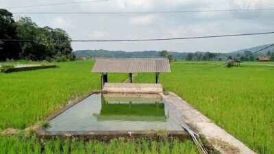 Menjelajahi Keindahan dan Keunikan Sumber Mata Air Cigempol: Surga Tersembunyi di Desa Nagrak