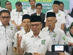 Pede Punya Petahana, PKB Berambisi Bangun Koalisi Besar di Pilkada 2024