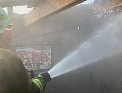 Kebakaran di Bandung Hari Ini, Kios Pakan Hewan Pasar Burung Hangus Dilalap Api