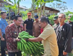 Program SAMAWANA Kecamatan Cimalaka Diapresiasi Pj Bupati Sumedang