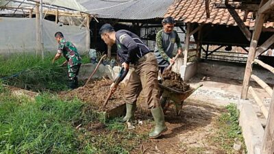 Atasi Pencemaran, Kotoran Hewan Diubah Jadi Pupuk Kompos