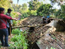 Angin Kencang, Pohon Jengkol Patah Timpa Atap Rumah di Sumedang