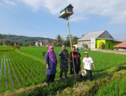 Cegah Hama Tikus, Babinsa dan Petani di Tanjungsari Dirikan Rubuha