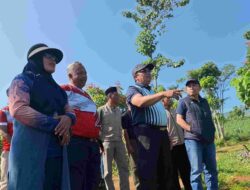 Optimasi Tanah Milik Pemda Sumedang di Desa Mekarrahayu Tingkatkan PAD