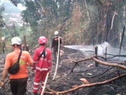 Kebakaran Lahan di Sumedang, Api Diduga dari Pembakaran Sampah