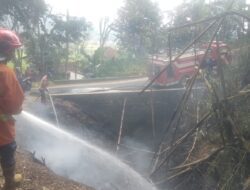 Gegara Puntung Rokok, Kebun Bambu di Sumedang Terbakar