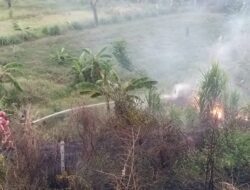 Alang-Alang Dekat Gerbang Tol Ujungjaya Sumedang Kebakaran Akibat Puntung Roko