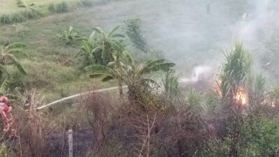 Alang-Alang Dekat Gerbang Tol Ujungjaya Sumedang Kebakaran Akibat Puntung Roko