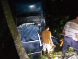 Mobil Minibus Masuk Jurang di Sumedang, Penumpang Luka-luka