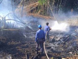 Gara-gara Puntung Rokok, Kebun Bambu di Tanjungsari Sumedang Kebakaran
