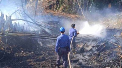 Gara-gara Puntung Rokok, Kebun Bambu di Tanjungsari Sumedang Kebakaran