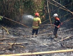 Kebakaran Lahan Terjadi di 3 Titik dalam Sehari di Sumedang