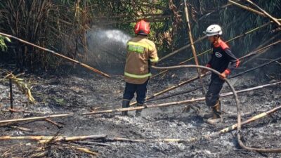 Kebakaran Lahan Terjadi di 3 Titik dalam Sehari di Sumedang