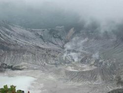 Kabar Hutan Gunung Tangkuban Parahu Kebakaran Bikin Heboh, PVMBG Buka Suara