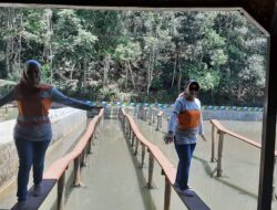 Kampung Wisata Pangjugjugan Bersolek, Tambah Meriah dengan Paket Outbound