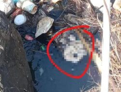 Geger, Warga Sukasari Sumedang Temukan Bayi Sudah Membusuk di Sungai