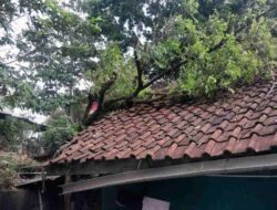 Pohon Tumbang Timpa Rumah Warga Nangewer Sumedang Utara