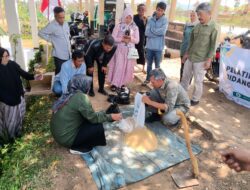 Sipukpa Plus Katalisator X, Alternatif Pengurangan Pupuk Anorganik