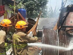 Kebakaran Diperbatasan, Puluhan Petugas Damkar Berhasil Jinakkan Api