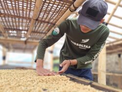 Kisah Nanang Rohimat: Mengubah Ceri Menjadi Kopi Berkualitas dengan Brand Kopi Aria