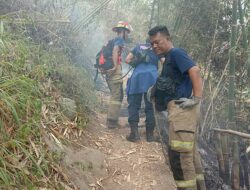 Kebakaran di Gunung Singa, Damkar Selamatkan 3 Pendaki yang Terjebak