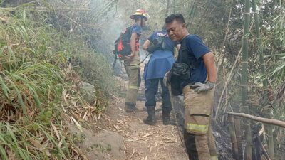 Kebakaran di Gunung Singa, Damkar Selamatkan 3 Pendaki yang Terjebak