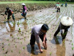 Dukung Program Ketahanan Pangan Prabowo, Polresta Bandung Bantu Petani