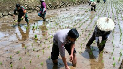 Dukung Program Ketahanan Pangan Prabowo, Polresta Bandung Bantu Petani