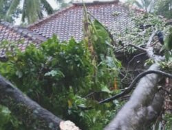 Angin Puting Beliung Hantam Bandung Barat, Ratusan Rumah Terdampak