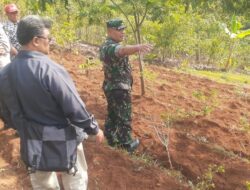 Pastikan Lahan Pertanian Produktif, Dandim Sumedang Tinjau ke Lokasi
