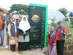 Kampung Sorgum: Jadi Wisata Edukasi Baru di Bandung Selatan