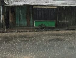 Musim Hujan Tiba, Warga Diimbau Waspada Ancaman DBD