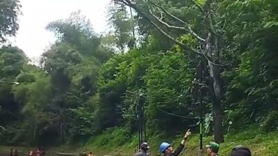 Lebih Dari 200 Pohon di Jalur Cadas Pangeran Sumedang Rawan Tumbang