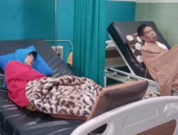 Warga Sukasari Sumedang Diserang Tawon, 7 Orang Dilarikan ke Puskesmas